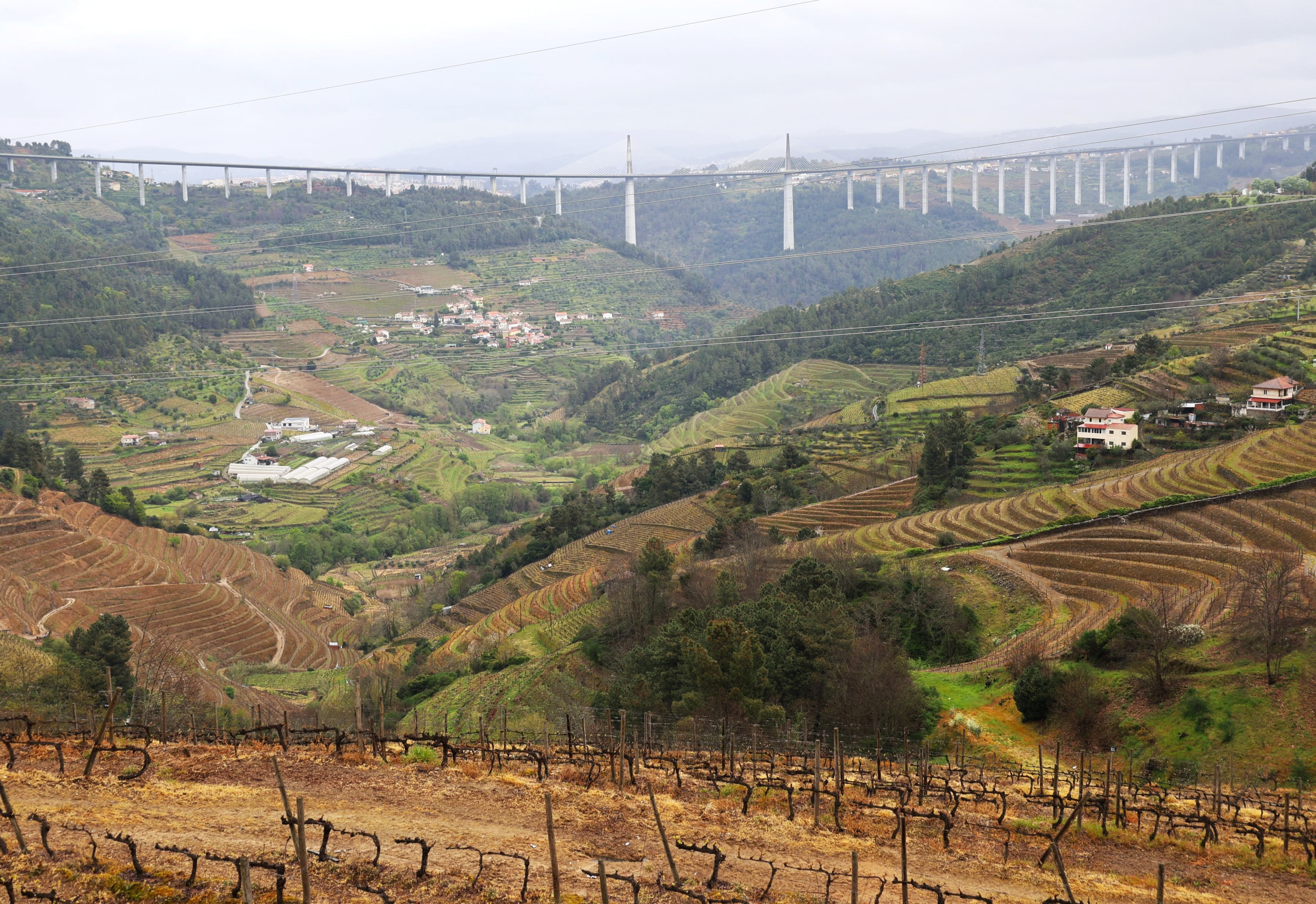 Douro